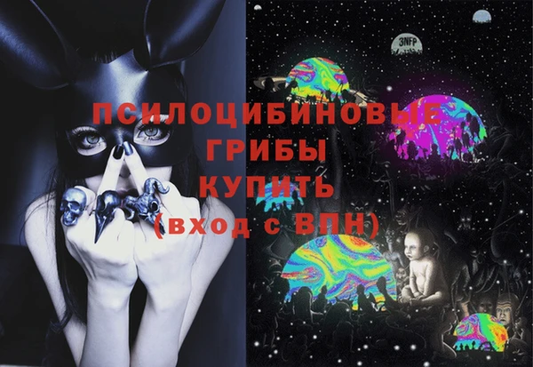 круглые Карпинск